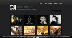 Desktop Screenshot of jeromesalort.fr